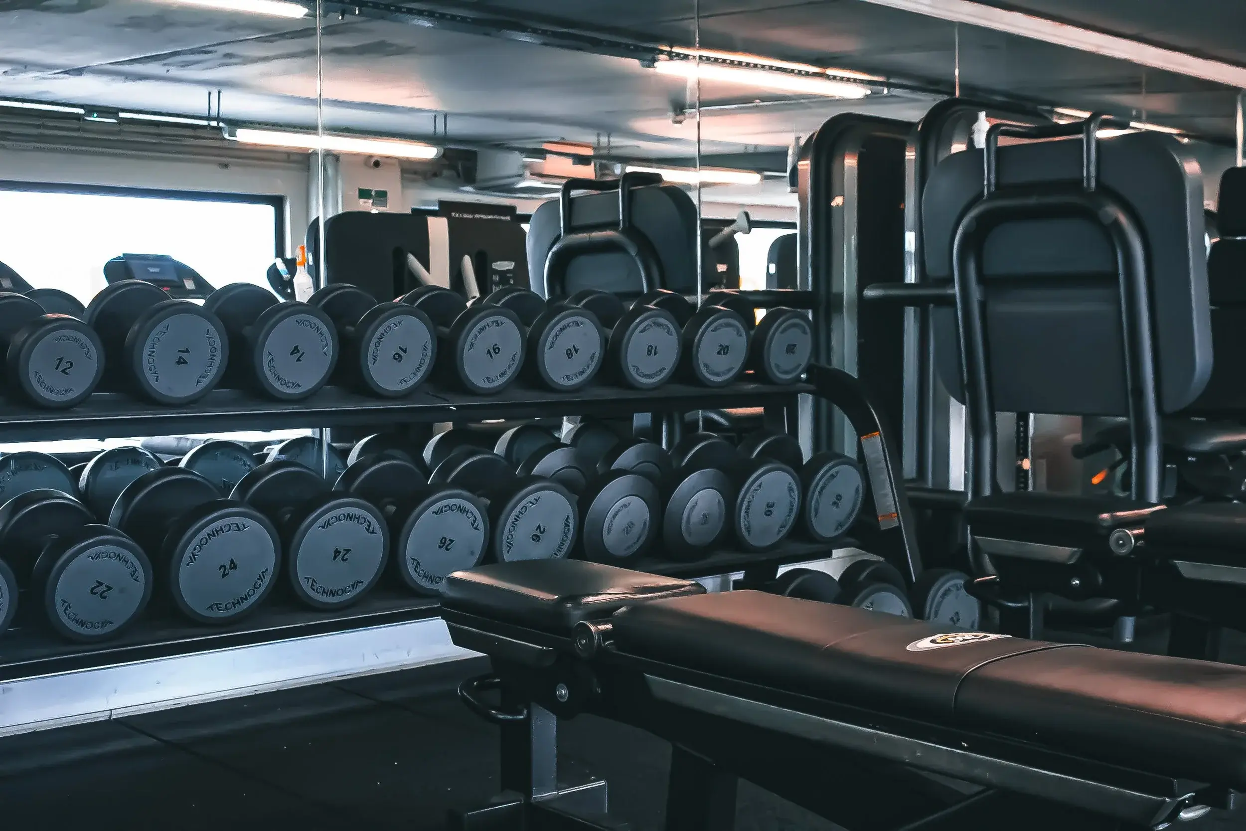 Racked dumbbells on the gym floor at Three Sixty Fitness