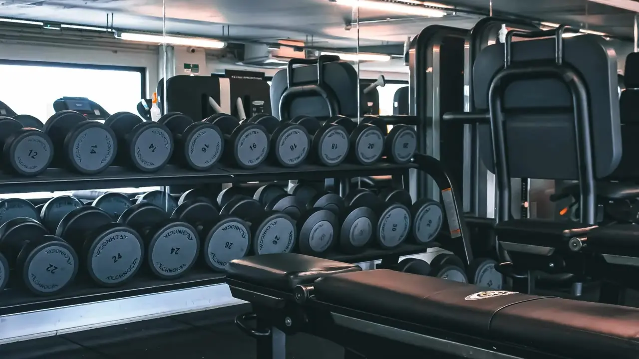 Racked dumbbells and Technogym machines on the gym floor at Three Sixty Fitness